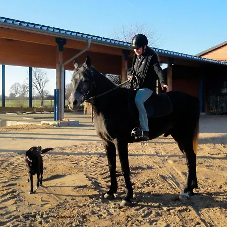 Souhayla Apartment Friedenstal